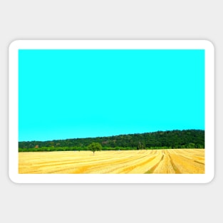 View from Chiaravalle Abbey at agricultural fields Sticker